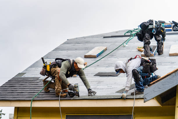 Professional Gutter Installation technician working in Lee's Summit, MO